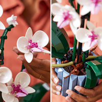 LEGO® 10311 Orquídeas (608 piezas)