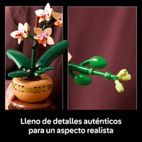 LEGO® Botanicals Miniorquídea Planta para regalar 10343
