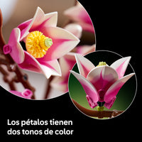 LEGO® Botanicals Ramas de Magnolia – Decoración – 11510