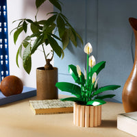 LEGO® Botanicals Lirio de la Paz – Decoración Floral – 11504